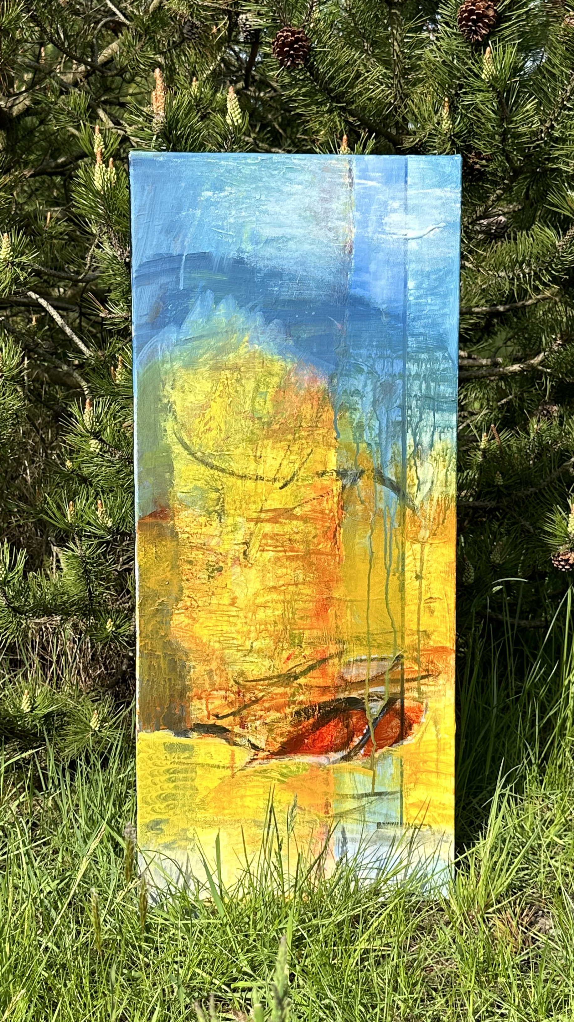 35x80