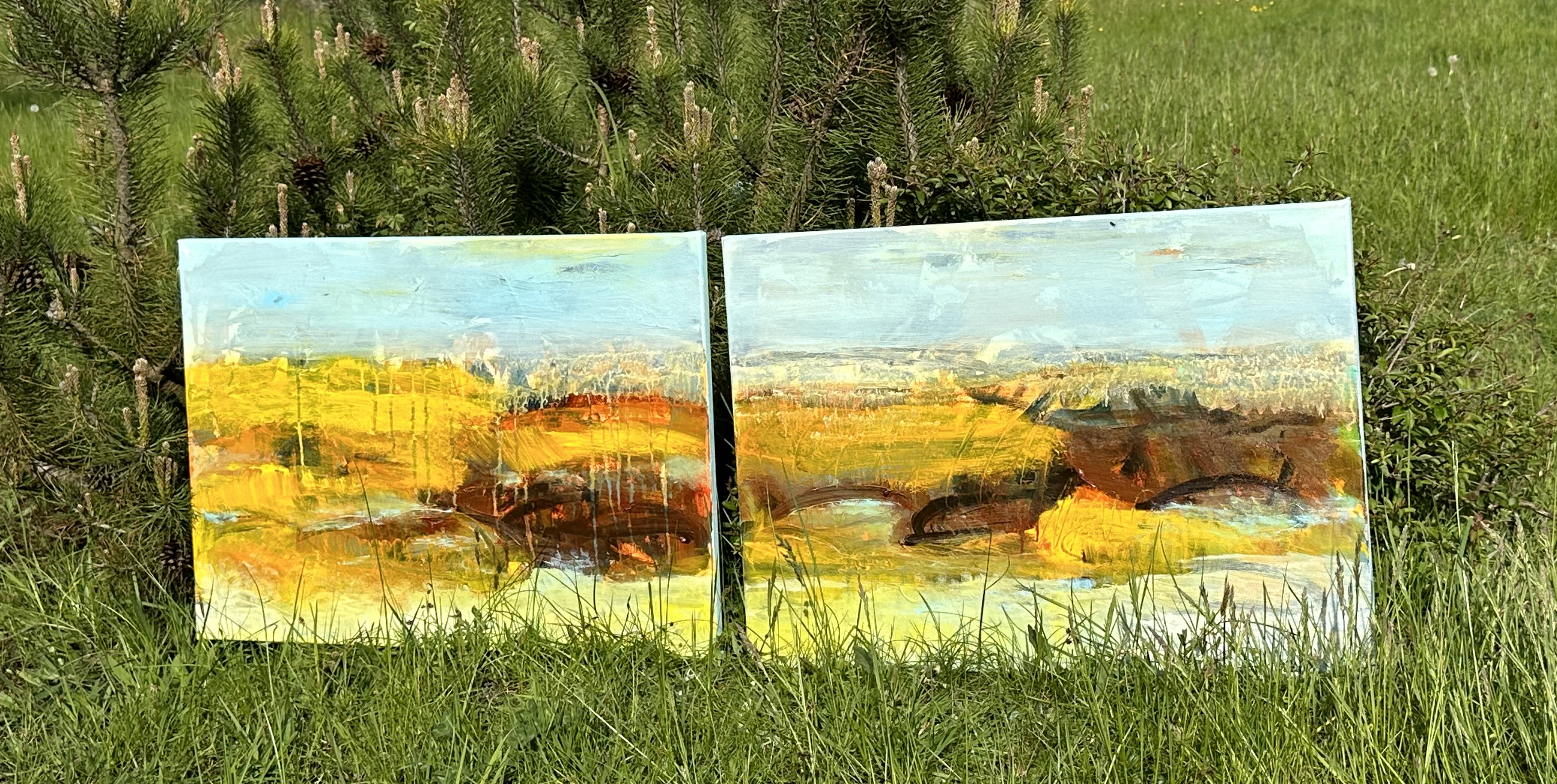 2x70x50